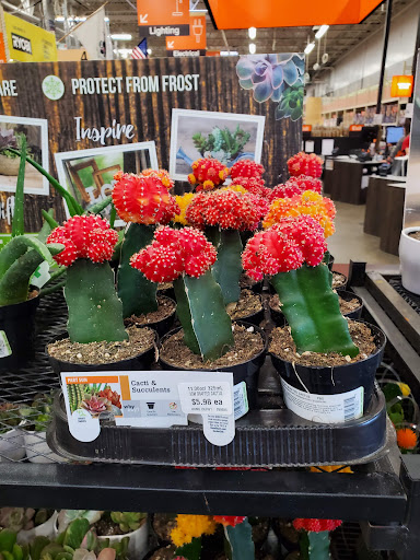 Home Improvement Store «The Home Depot», reviews and photos, 1131 W Gannon Dr, Festus, MO 63028, USA