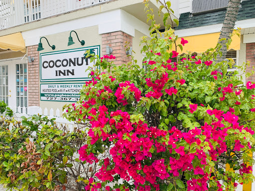 Public Beach «Pass-A-Grille Beach», reviews and photos, 113 11th Ave, Pass-A-Grille Historic District, FL 33706, USA