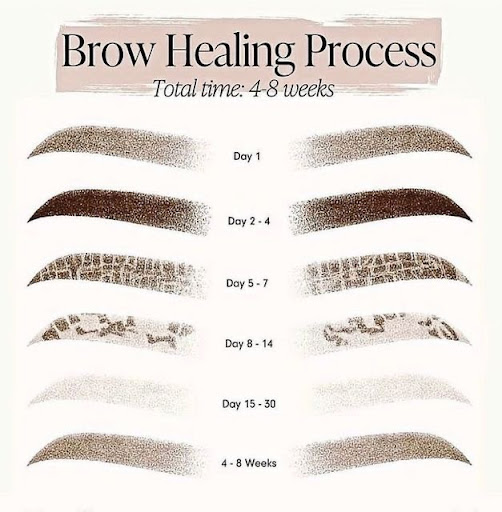 Explore flatline tattoo ideas, creative tattoo ideas in Savannah, available at Haute Brows. Cosmetic Tattoo