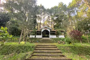 UB Forest Karangploso image