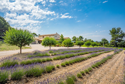 Michaël Zingraf Real Estate | Agence Immobilière Lourmarin à Lourmarin