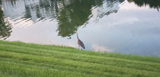 Golf Club «Plum Creek Golf Club», reviews and photos, 12401 Lynnwood Blvd, Carmel, IN 46033, USA