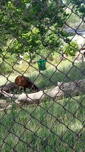 Zoo «Alaskan Adventure Henry Doorly Zoo», reviews and photos, 3701 S 10th St, Omaha, NE 68107, USA