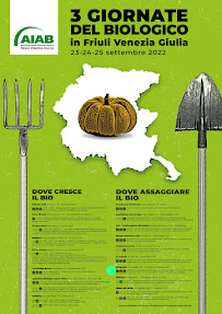 Menu du Integraldo à Majano