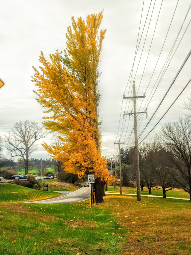 Private Golf Course «Chester Valley Golf Course», reviews and photos, 430 W Swedesford Rd, Malvern, PA 19355, USA