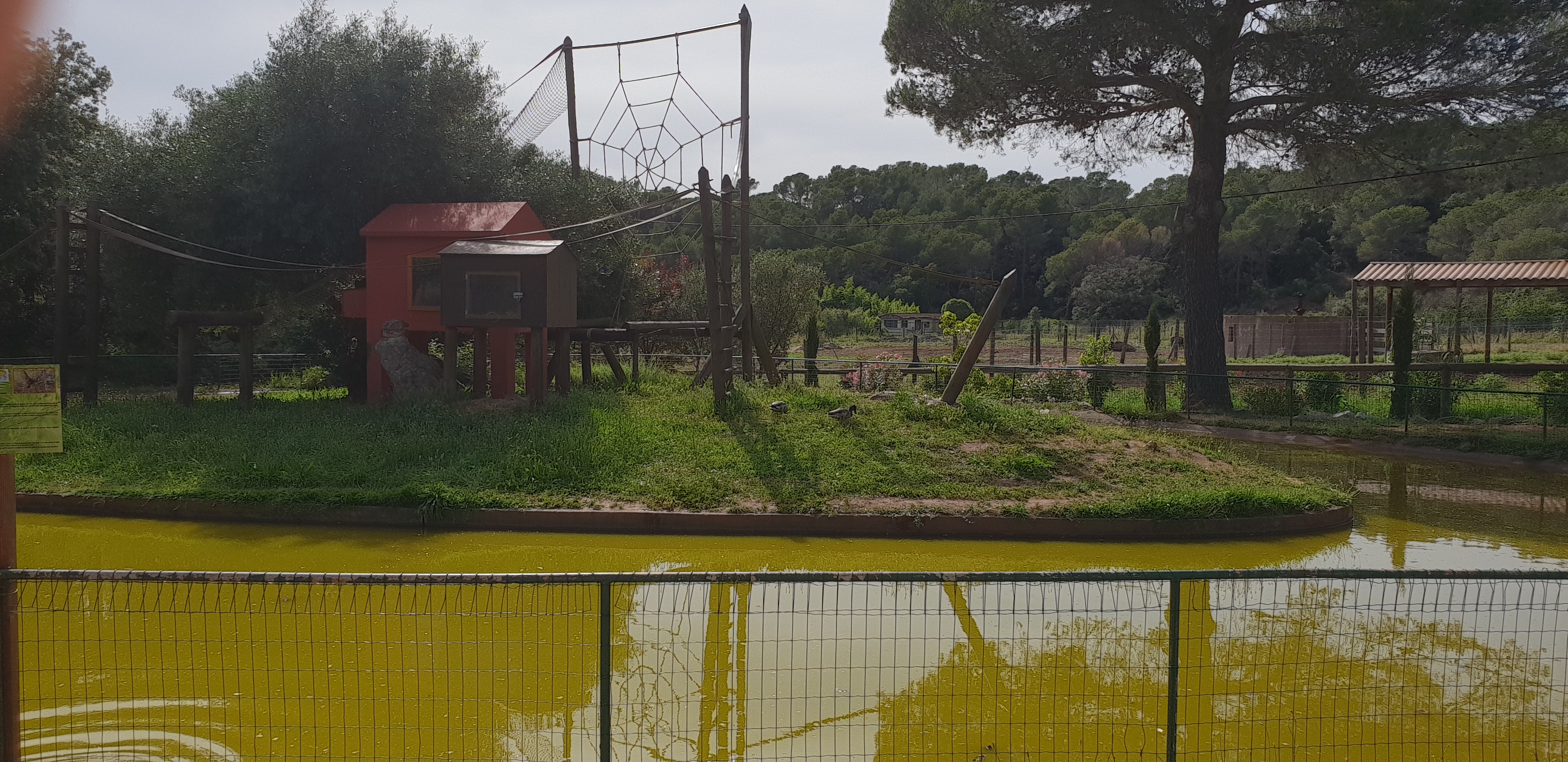 Photo n° 10 de l'avis de Anthony. fait le 11/06/2018 à 14:44