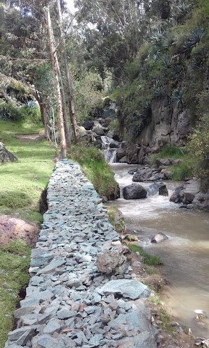 Comentarii opinii despre Parroquia "Nuestra Señora de Guadalupe