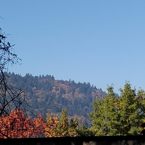 Concert Hall «Roseland Theater», reviews and photos, 8 NW 6th Ave, Portland, OR 97209, USA