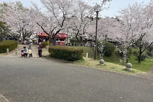 Tashiro Park image