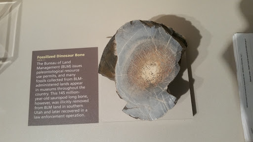 Museum «U.S. Department of the Interior Museum», reviews and photos, 1849 C St NW, Washington, DC 20240, USA