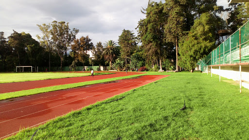 Centros deportivos municipales en Ciudad de Mexico