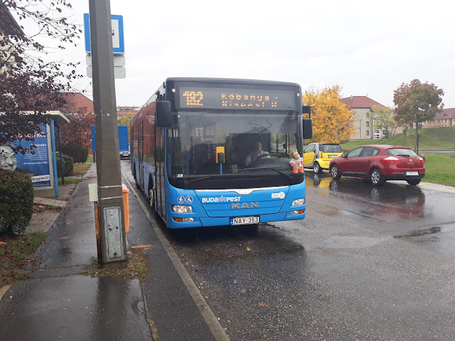 Opinii despre Alacskai úti lakótelep în Budapest - Sportpálya