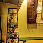 Photo n°1 de l'avis de Mario.e fait le 10/11/2019 à 00:32 sur le  LaVineria de Tarczal à Marano