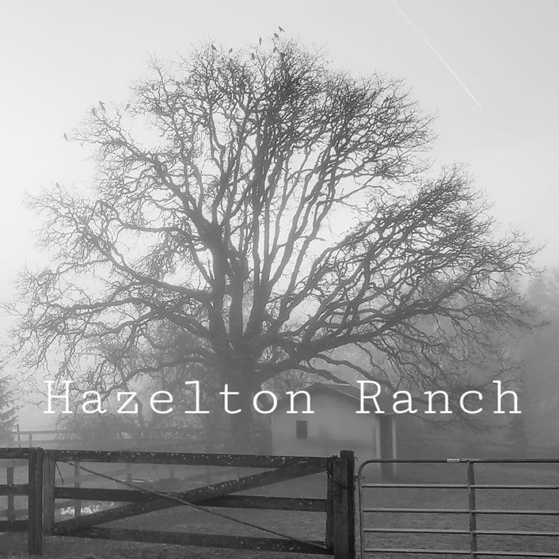 The Hazelton Ranch