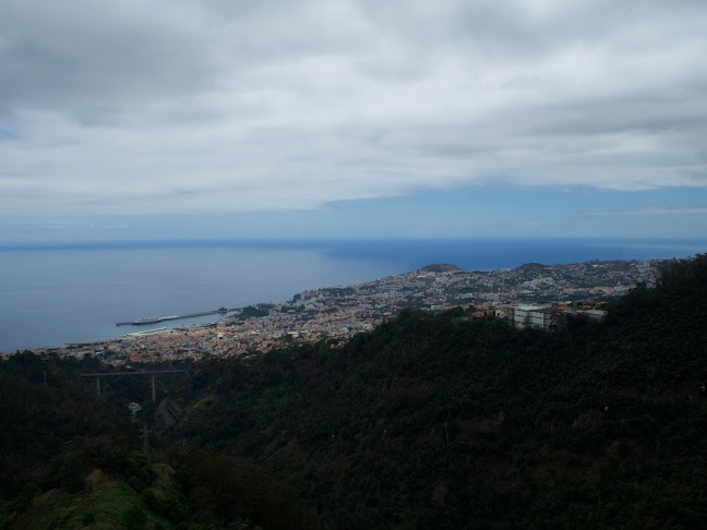 Avaliações doMadeira Walks em Funchal - Agência de viagens