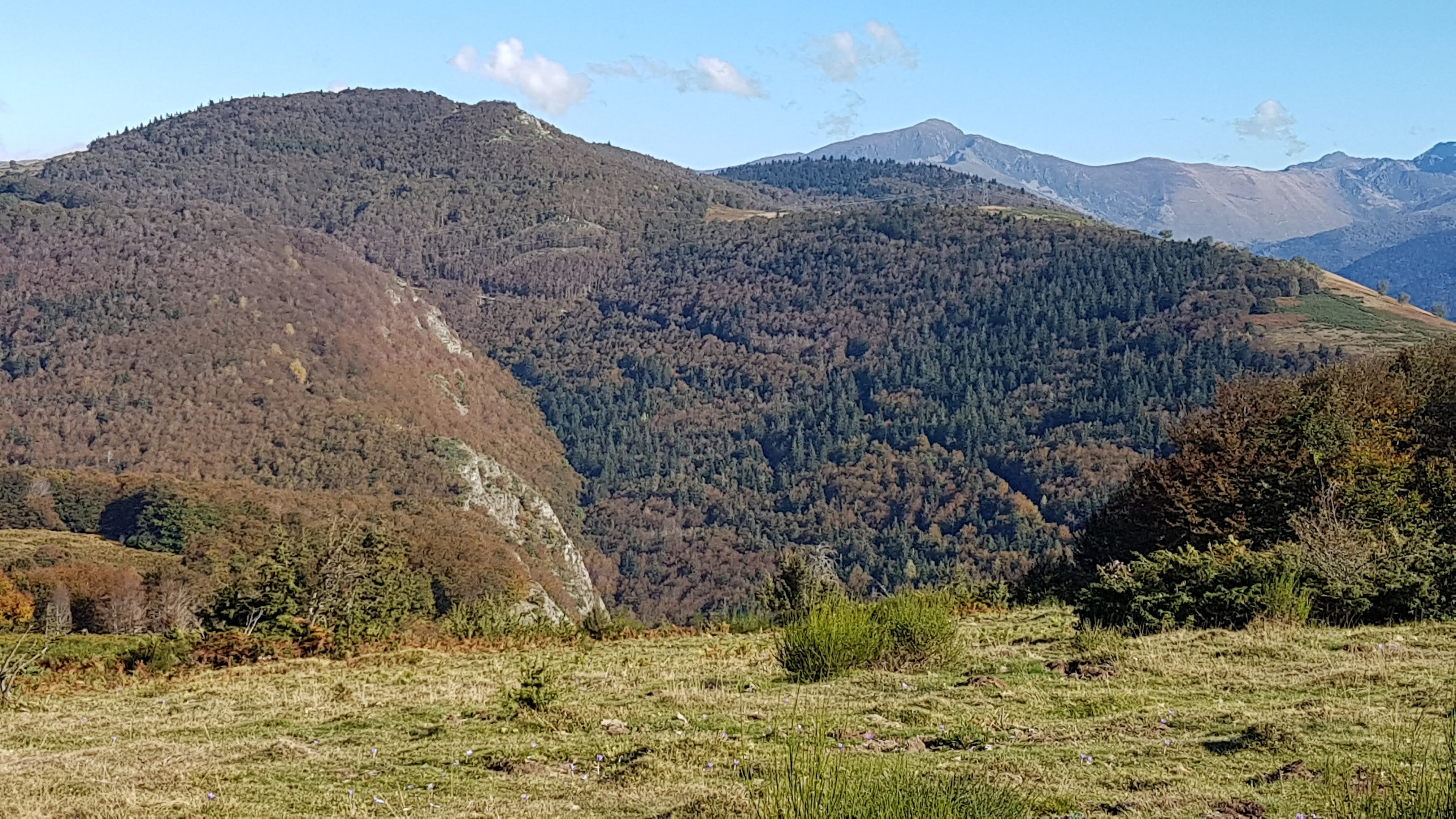 Photo n° 2 de l'avis de Joël.E fait le 16/12/2018 à 12:28