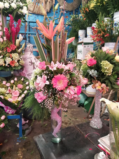 Floreria Julieta – Coatzacoalcos