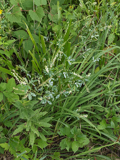 Nature Preserve «Rock Run Preserve - Black Road Access», reviews and photos, Black Rd, Joliet, IL 60431, USA