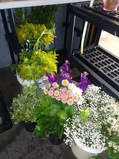 Florist «Desert Oasis Floral», reviews and photos, 13220 W Van Buren St, Goodyear, AZ 85338, USA