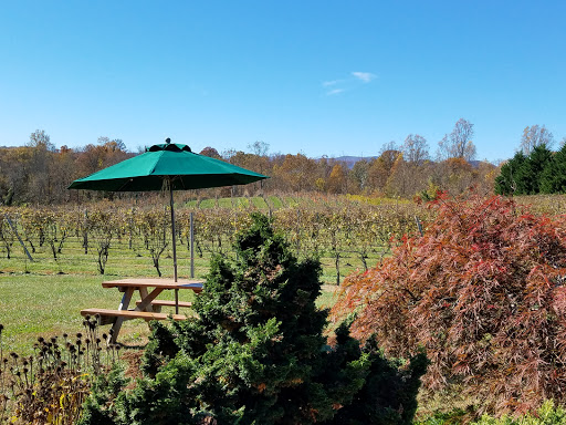 Winery «Gadino Cellars», reviews and photos, 92 School House Rd, Washington, VA 22747, USA