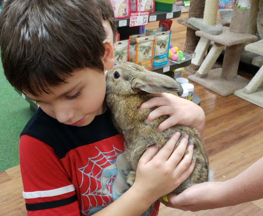 Pet Supply Store «Pet Supermarket», reviews and photos, 2924 13th St, St Cloud, FL 34769, USA