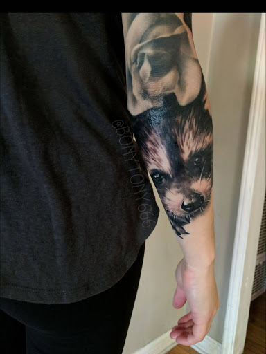 Tattoo Shop «Tattoo Boogaloo», reviews and photos, 528 Green St, San Francisco, CA 94133, USA