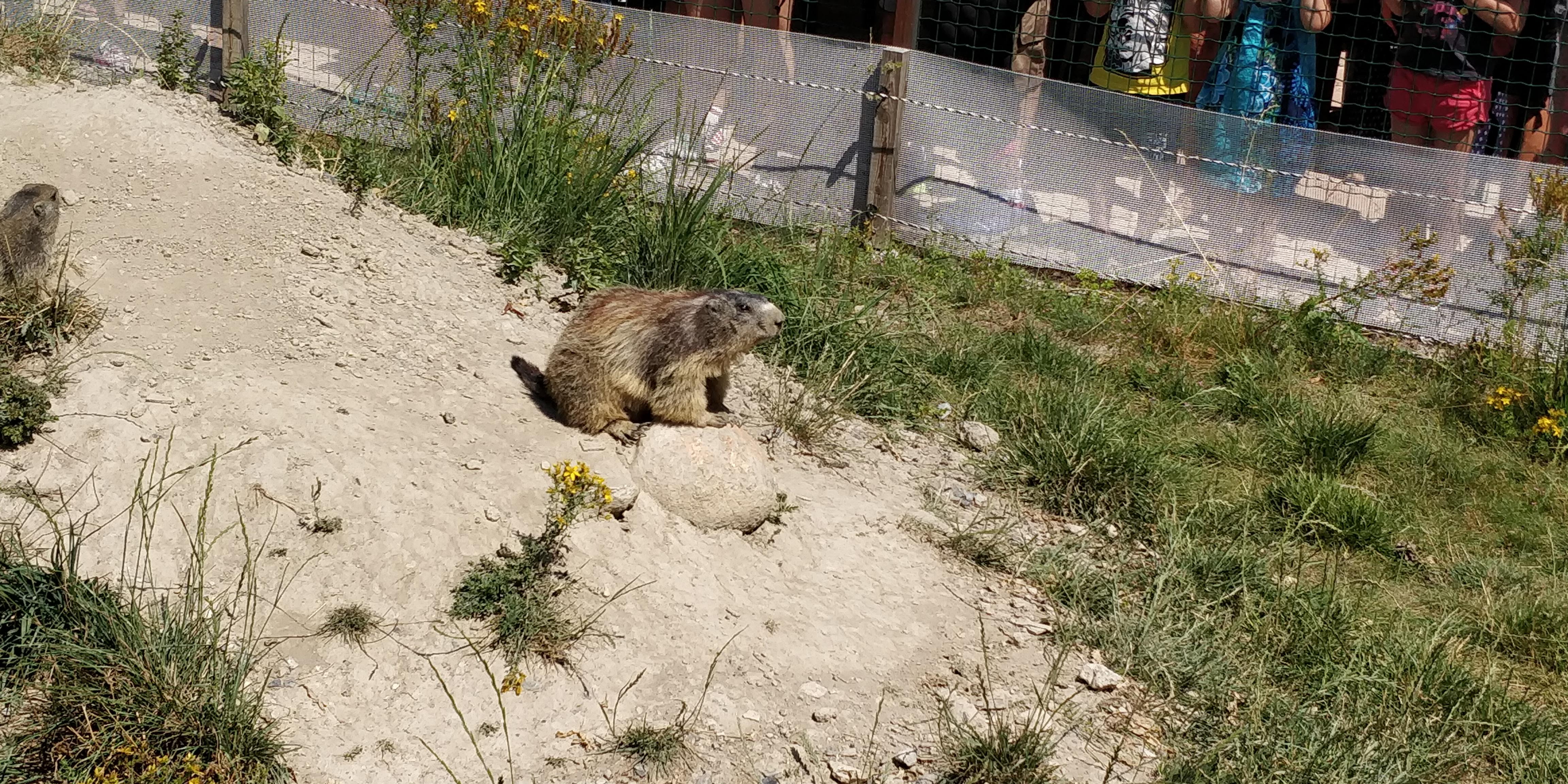 Photo n° 34 de l'avis de Sylvain.e fait le 02/08/2018 à 06:25