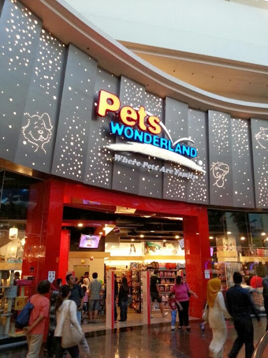 Shops to buy dogs in Kualalumpur