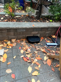 Rest Easy Pest Control - Photo 5 - Car repair in , Queens