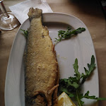 Photo n°4 de l'avis de Maurizio.o fait le 11/08/2021 à 14:52 sur le  Rifugio Lo Scoiattolo à Lorica