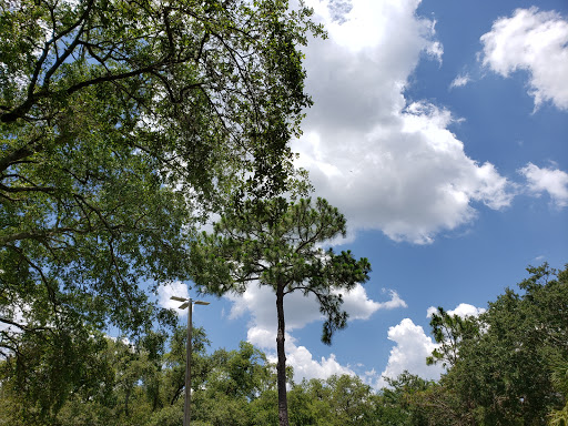 Community Center «University Area Community Center», reviews and photos, 14013 N 22nd St, Tampa, FL 33613, USA