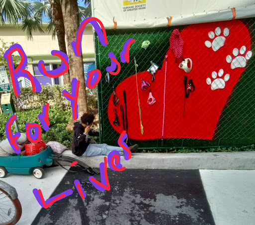 Pet Supply Store «Dog Bar», reviews and photos, 1684 Jefferson Ave, Miami Beach, FL 33139, USA