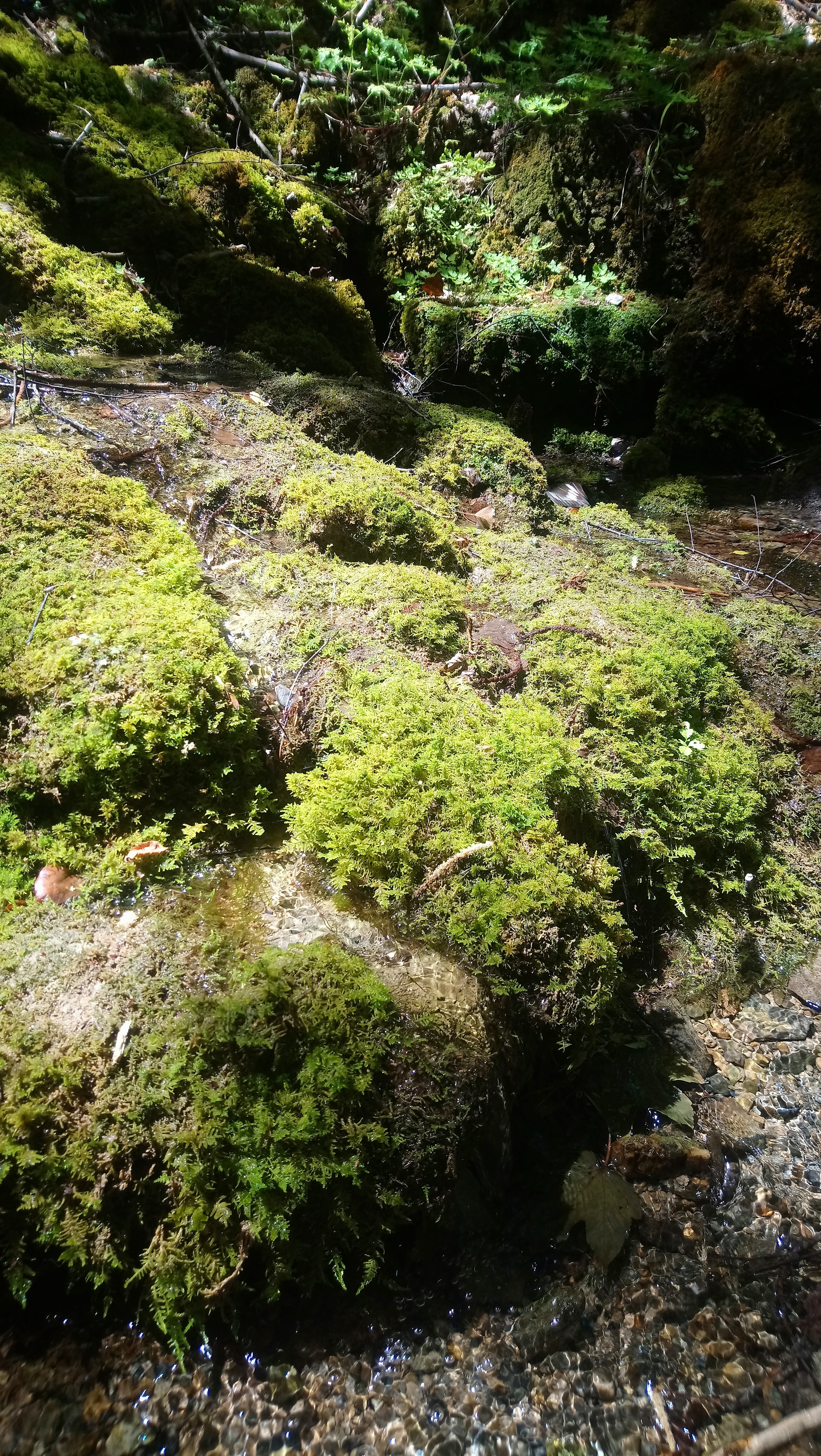 Photo n° 5 de l'avis de Stef.i fait le 16/08/2019 à 16:08