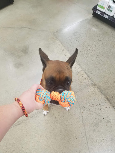 Pet Supply Store «Kahoots Pet Store», reviews and photos, 334 W El Norte Pkwy, Escondido, CA 92026, USA