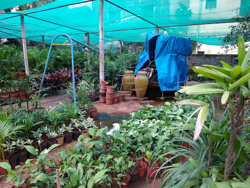 Chaitanya Nursery