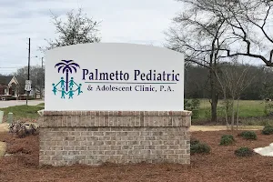 Palmetto Pediatrics Blythewood image