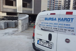 Bursa Karot