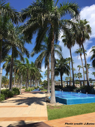 Cruise Agency «Sun Connections Travel & Cruises, LLC», reviews and photos, 11950 SW 2nd St #100, Beaverton, OR 97005, USA