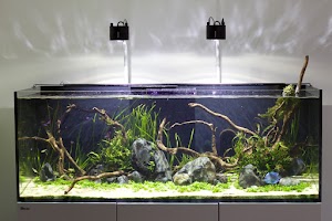 Aqua Lab Aquaria - photo 13