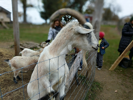 Farm «Wright Family Farm», reviews and photos, 329 Kings Hwy, Warwick, NY 10990, USA