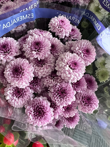 Florist «Bell Flowers», reviews and photos, 8332 Bustleton Ave, Philadelphia, PA 19152, USA