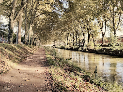 attractions Canal de Brienne Toulouse