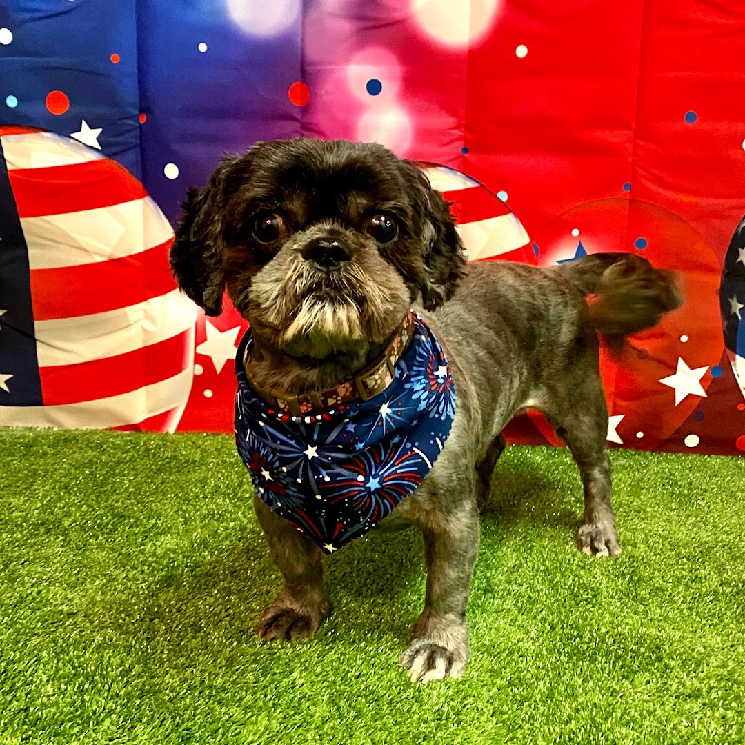 Woof Gang Bakery & Grooming Apopka