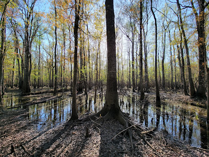 Waccamaw River Park