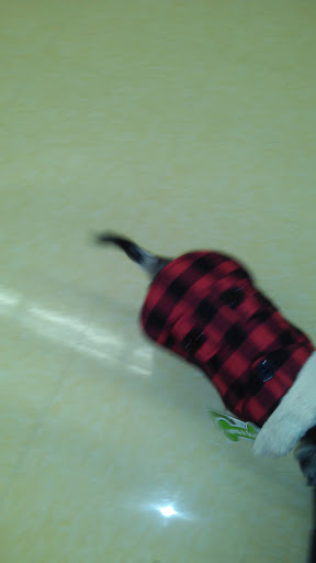 Pet Supply Store «Petco Animal Supplies», reviews and photos, 8551 S Howell Ave, Oak Creek, WI 53154, USA