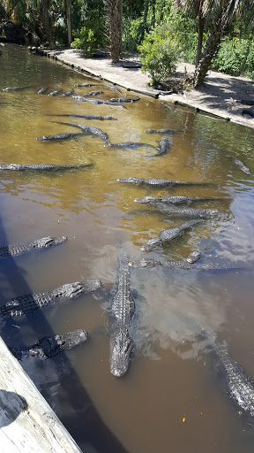 Event Venue «River House Events», reviews and photos, 179 Marine St, St Augustine, FL 32084, USA