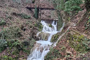 Hidden Garden with Waterfalls image