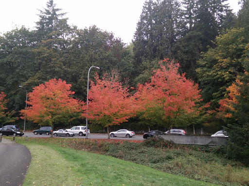Park «Marymoor Park», reviews and photos, 6046 West Lake Sammamish Pkwy NE, Redmond, WA 98052, USA