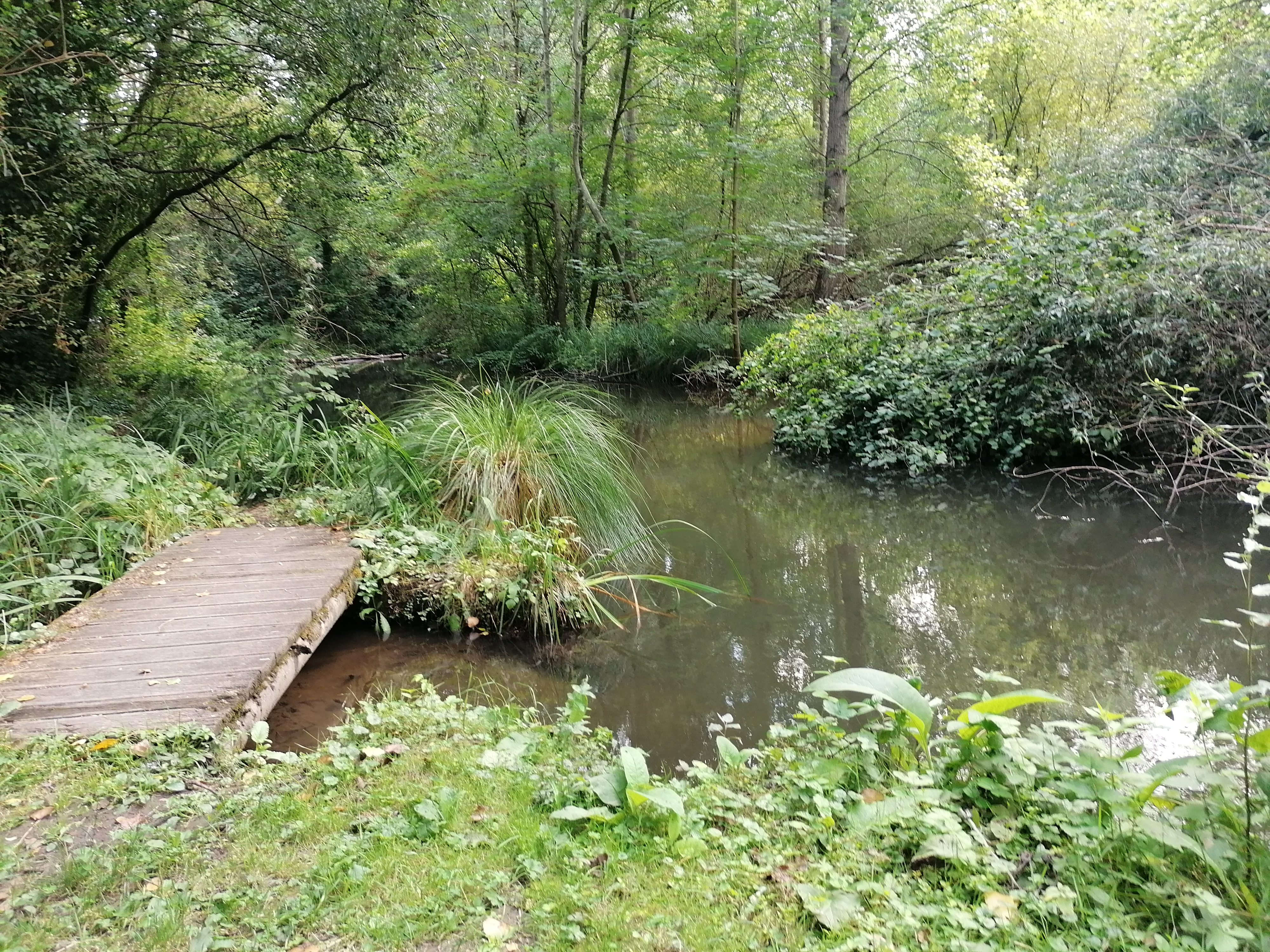 Photo n° 1 de l'avis de Manon.s fait le 18/08/2020 à 15:38