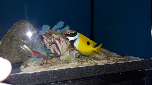 Pet Supply Store «Pet City», reviews and photos, 185 Lafayette Rd, Seabrook, NH 03874, USA